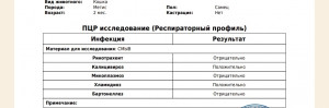 Хламидиоз у котёнка