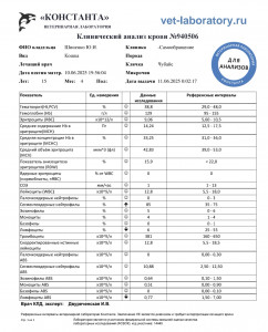 Расшифровка анализов