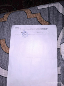 Расшифровка заключения врача