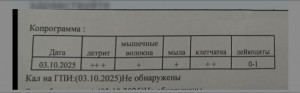 что значит анализ