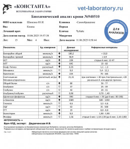 Расшифровка анализов