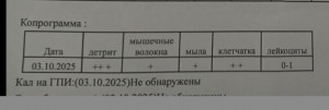 анализ копрограммы