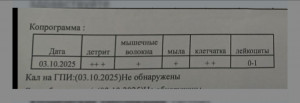 анализы расшифровка