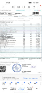 Повышенный уровень тромбоцитов в крови