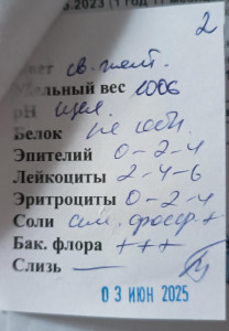 Лейкоциты и эритроциты в моче