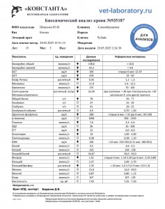 Расшифровка анализов