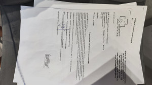 абиссинский кот трясется во врем сна или расслабления