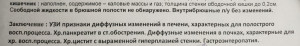 Обострение хронических процессов у собаки и лекарства