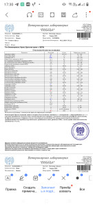 Почечная недостаточность у кошки