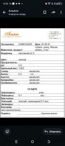 Расшифровка анализа