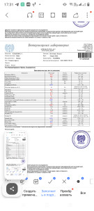 Почечная недостаточность у кошки