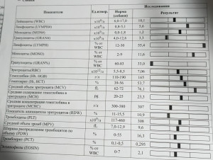 Обострение хронических процессов у собаки и лекарства