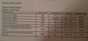 Помогите понять что с котом
