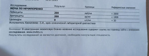 Лейкоциты и эритроциты в моче