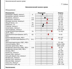 Нужно ли переливание крови, или уже всё потеряно?