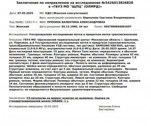 Кисты шейки матки до 5мм