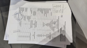 абиссинский кот трясется во врем сна или расслабления