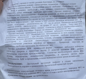 Результаты ЭФГС