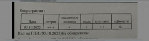 расшифровка анализов копрограммы