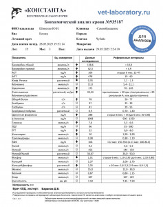 Расшифровка анализов