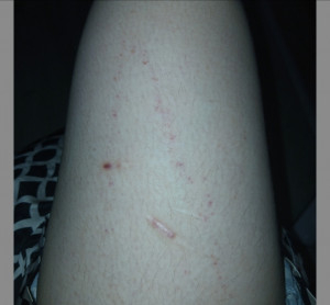 что это может быть