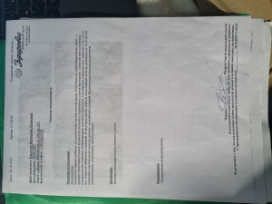 Дневная дозировка Мессалазин