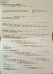 Назначение лечения по УЗИ и анализам
