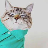 Фото Юра Живодуев