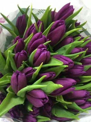 Фото Alina Lomakina