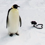 Фото Александр Солдатов