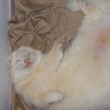 Фото Лилия Зарубина