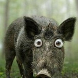 Фото Артём Казиноев