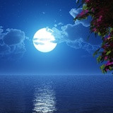 Фото Сергей А