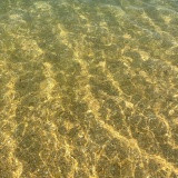 Фото Наталия Китайская