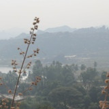 Фото Денис Букин