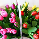 Фото Татьяна Татьянина