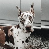 Фото Дмитрий Исаев