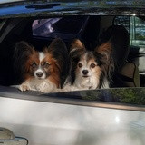 Фото Наталья Усольцева