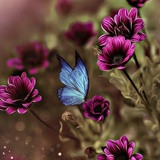 Фото Ольга Зайцева