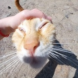 Фото Аня Фил