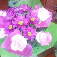 Фото Елена Елена 1