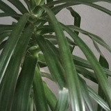 Фото Татьяна Сурменева