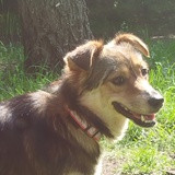 Фото Татьяна Найдёнова