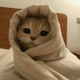 Фото Инна Инна