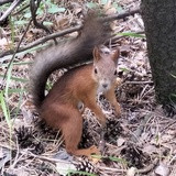 Фото Татьяна Кумыш