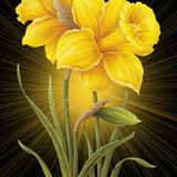 Фото Марина Крышнева