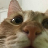 Фото Юлия Захарова 1