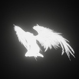 Фото Вероника Щербакова