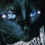 Фото Александра Заярская