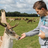 Фото Михаил Жабин